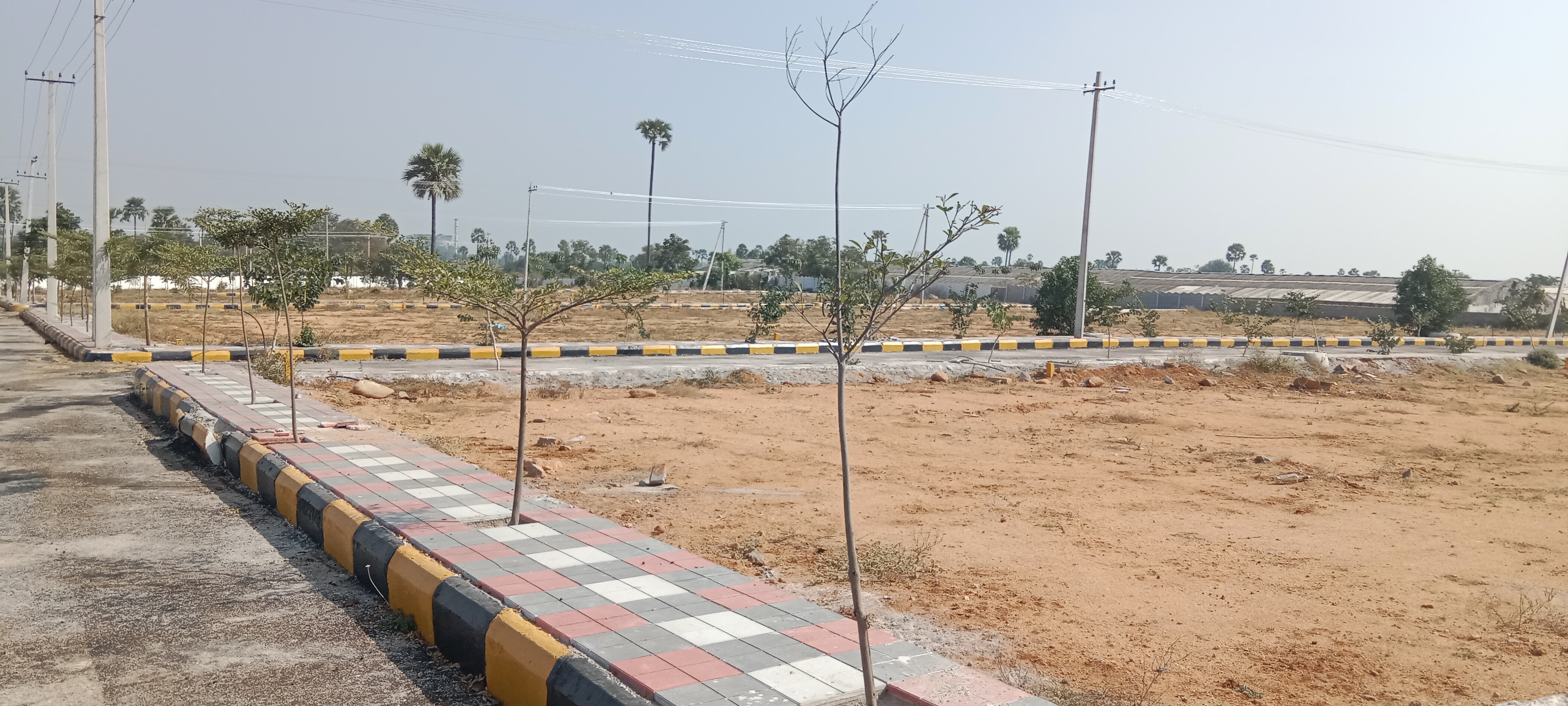  Plot For Resale in East Marredpally Hyderabad 6417975