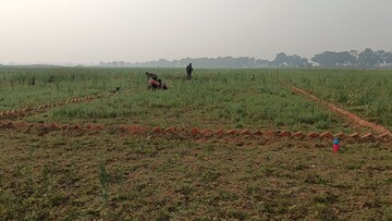 Plot Area in  Plot at Bihta – for Sale