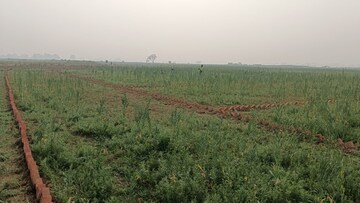 Plot Area in  Plot at Bihta – for Sale