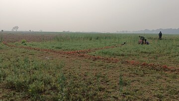Plot Area in  Plot at Bihta – for Sale