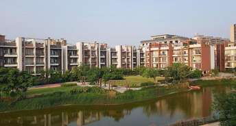 4 BHK Builder Floor For Rent in Adani Samsara Sector 60 Gurgaon 6418407