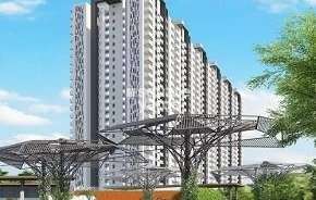 3 BHK Apartment For Resale in Tulip Yellow Sector 69 Gurgaon 6418418