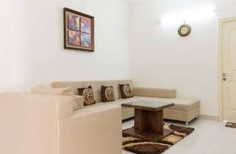 1 BHK Apartment For Rent in Ramky Towers Gachibowli Gachibowli Hyderabad 6418634