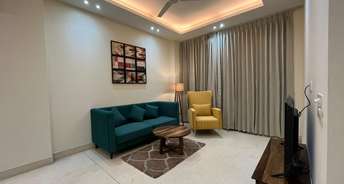 3 BHK Builder Floor For Rent in Sushant Lok I Gurgaon 6418709