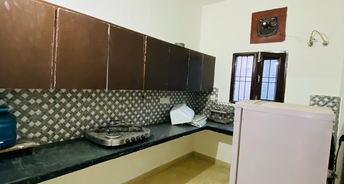 1 BHK Apartment For Rent in Sector 125 Mohali 6421425