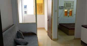 1 BHK Apartment For Rent in Dwarka Delhi 6422012