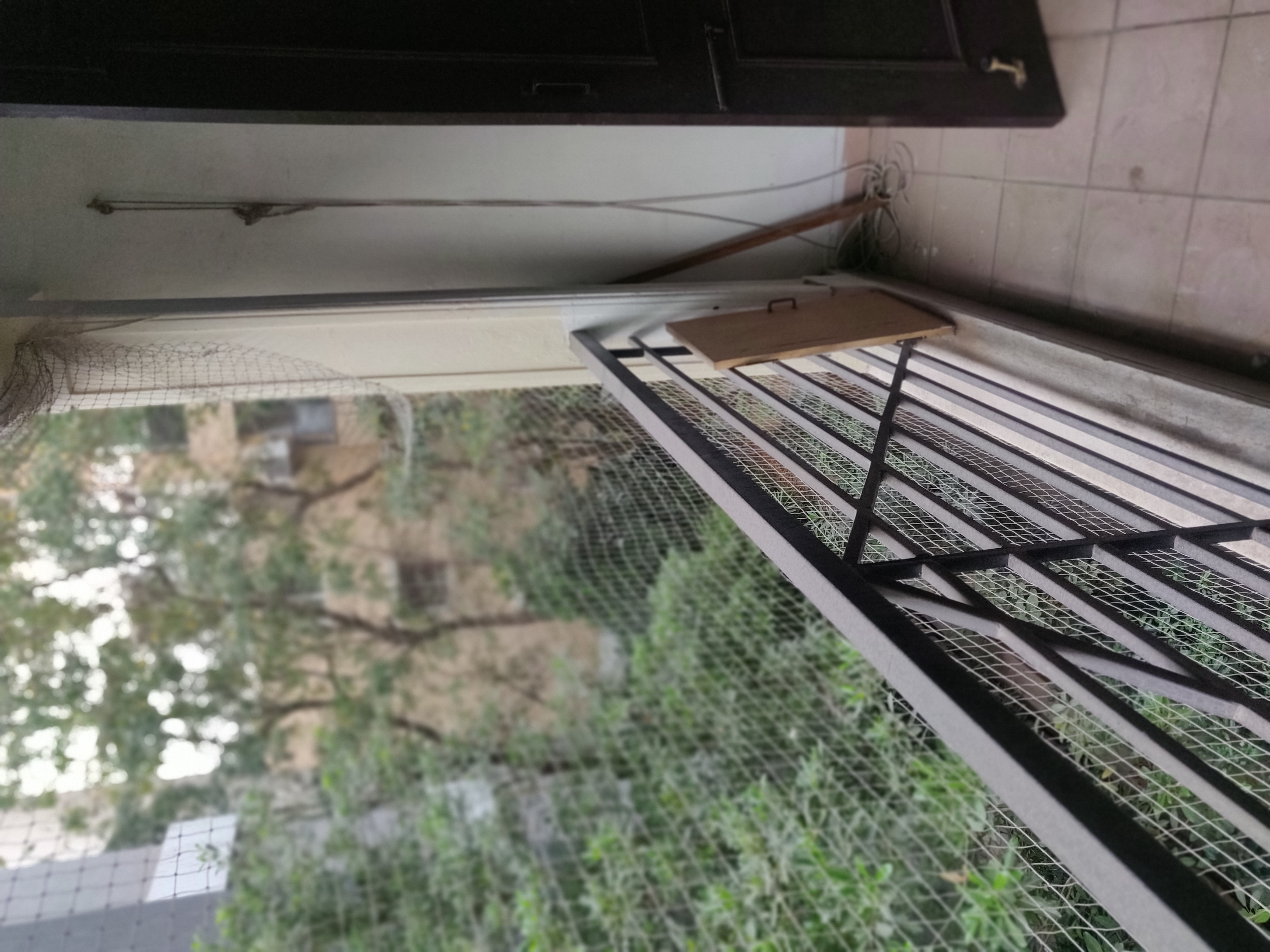 Flats for Rent in Srinagar Colony Hyderabad 4+ Flats / Apartments on