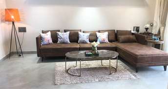 2 BHK Apartment For Rent in Rewa Apartments Cumbala Hill Mumbai 6422308