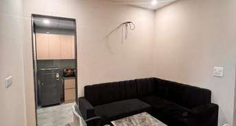 1 BHK Builder Floor For Rent in Sector 17a Gurgaon 6422976