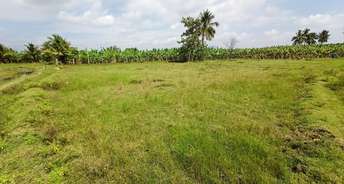 Commercial Land 130 Sq.Mt. For Resale In Thiruparankundram Madurai 6423358