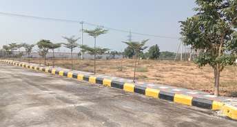  Plot For Resale in Hakimpet Hyderabad 6423477