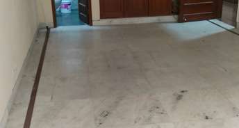 3 BHK Builder Floor For Rent in Sarvapriya Vihar Delhi 6423495