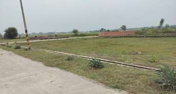  Plot For Resale in Faizabad Road Lucknow 6423767