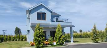 2 BHK Villa For Resale in Apc Layout Bangalore 6423769