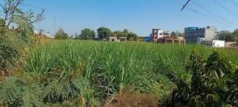 Commercial Land 30000 Sq.Ft. For Rent In Shikrapur Pune 6422550