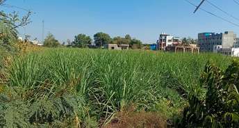 Commercial Land 30000 Sq.Ft. For Rent In Shikrapur Pune 6422550
