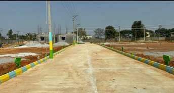  Plot For Resale in Channohalli Bangalore 6423944