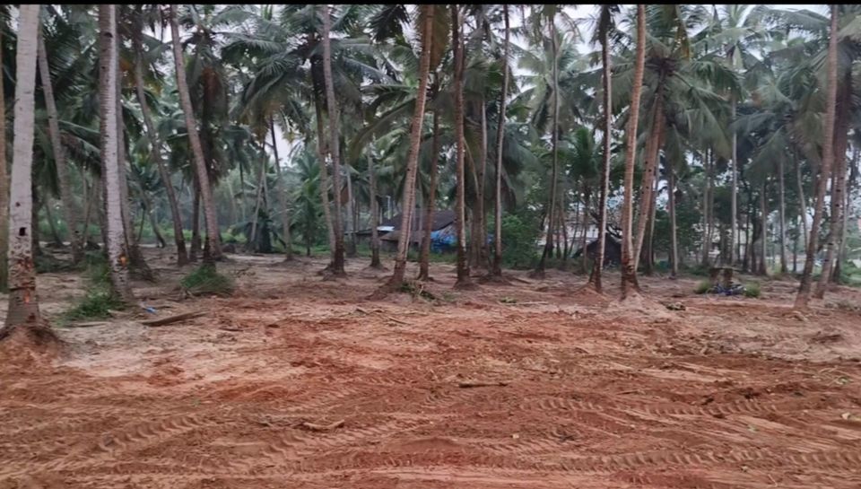 Resale 4306 Sq.Ft. Plot in Bambolim Goa 6424972