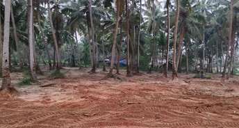  Plot For Resale in Bambolim Goa 6424972