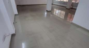 Commercial Showroom 1200 Sq.Ft. For Rent In Sector 29 Faridabad 6425120