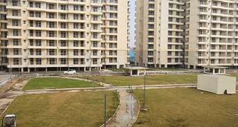 3 BHK Apartment For Resale in DDA Flats Sector 19B Dwarka Sector 19b Dwarka Delhi 6425323