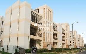 4 BHK Apartment For Rent in Puri Vip Floors Sector 81 Faridabad 6425321