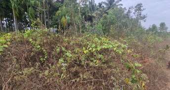 Commercial Land 1200 Sq.Ft. For Resale In Nelamangala Bangalore 6426406
