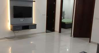 3 BHK Builder Floor For Rent in Ansal Sushant Lok I Sector 43 Gurgaon 6426732