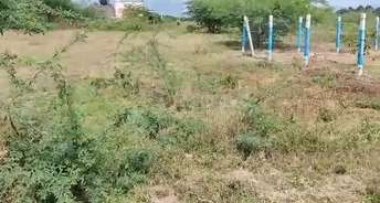  Plot For Resale in Amangal Hyderabad 6421156