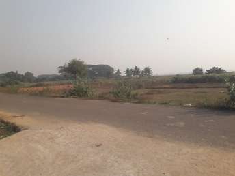 Commercial Land 100 Sq.Ft. For Resale In Iit Argul Bhubaneswar 6427247