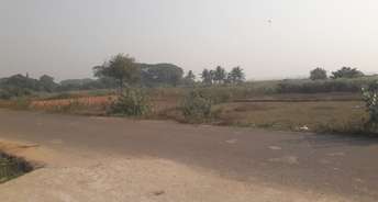 Commercial Land 100 Sq.Ft. For Resale In Iit Argul Bhubaneswar 6427247