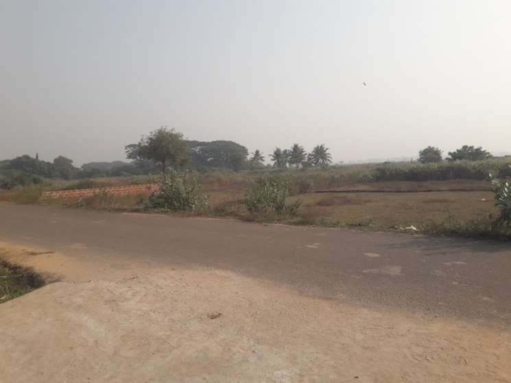 Commercial Land 100 Sq.Ft. in Iit Argul Bhubaneswar