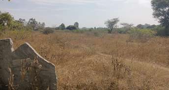 Commercial Land 179685 Sq.Ft. For Resale In Yerappanahalli Bangalore 6428367