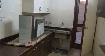 3.5 BHK Independent House For Rent in Sector 7 Faridabad 6428473