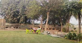  Plot For Resale in Sector 61 Faridabad 6428838
