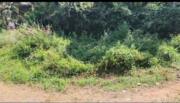 Commercial Land 300 Sq.Mt. For Resale In Bambolim North Goa 6429784