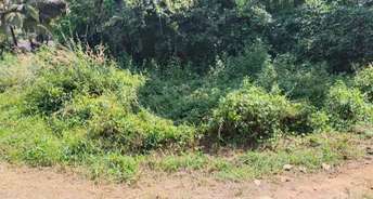 Commercial Land 300 Sq.Mt. For Resale In Bambolim North Goa 6429784