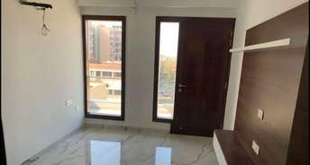 3 BHK Builder Floor For Rent in Sector 17 Panchkula 6430229