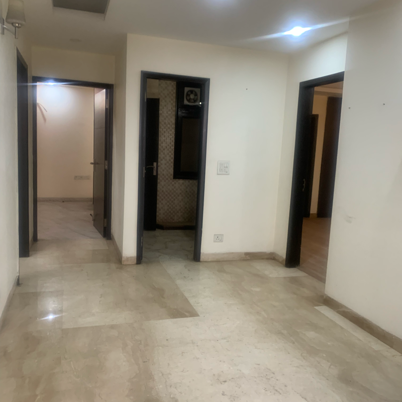 Rental 3 Bedroom 1850 Sq.Ft. Builder Floor in RWA Saket Block J, Saket Delhi 6430243