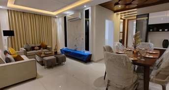 3 BHK Apartment For Resale in Kotla Nala Solan 6430428
