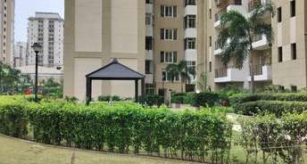 Studio Apartment For Rent in Nimbus The Golden Palm Sector 168 Noida 6431731