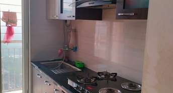 1 BHK Apartment For Rent in Puranik Aarambh Ghodbunder Road Thane 6432448