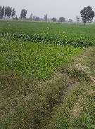 Commercial Land 14 Acre For Resale In Rai Sonipat 6432902