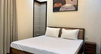 1 BHK Apartment For Rent in Golden Grand Yeshwanthpur Bangalore 6433561