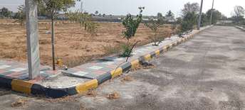 Plot For Resale in Polepally Hyderabad 6433783