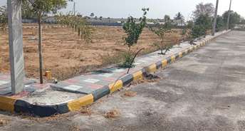  Plot For Resale in Polepally Hyderabad 6433783