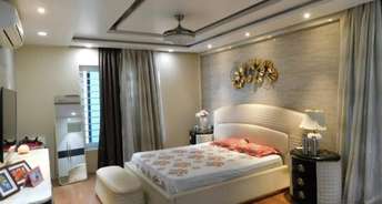 5 BHK Villa For Rent in Jubilee Hills Hyderabad 6433848