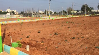 Plot For Resale in Bannerghatta Road Bangalore  6434941