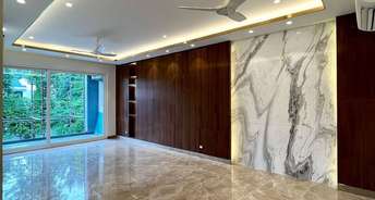 6 BHK Builder Floor For Rent in Punjabi Bagh West Delhi 6435564