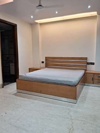 4 BHK Builder Floor For Rent in Panchsheel Greens Luxury Apartments L Zone Delhi 6435642